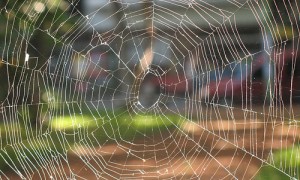 Is this your Web site?