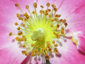 Going Fireworks, Happy Anniversary, Independent Thinking, Steigman Communications