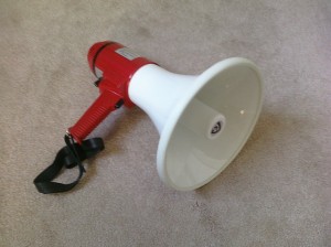It's Not Enough to Have Use Facebook as a Megaphone