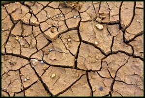 Cracks in the Foundation