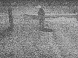 Figure Walking, in Gray Haze