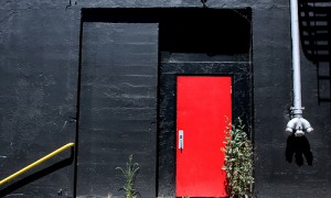 Red Door in a Sea of Black